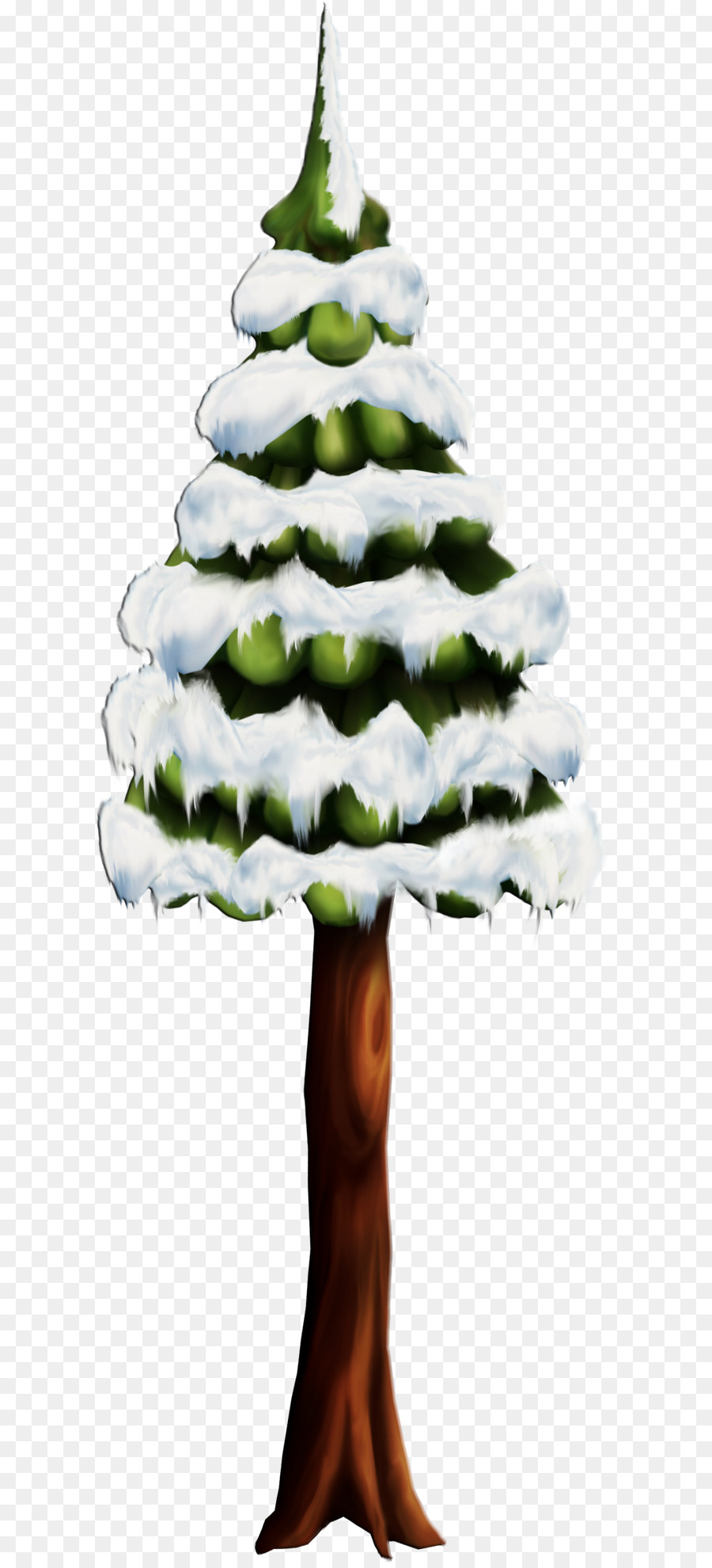 Cedro，Fondo De Escritorio PNG