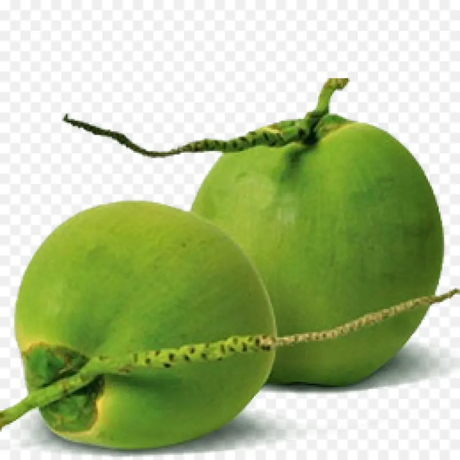 Agua De Coco，Coco PNG