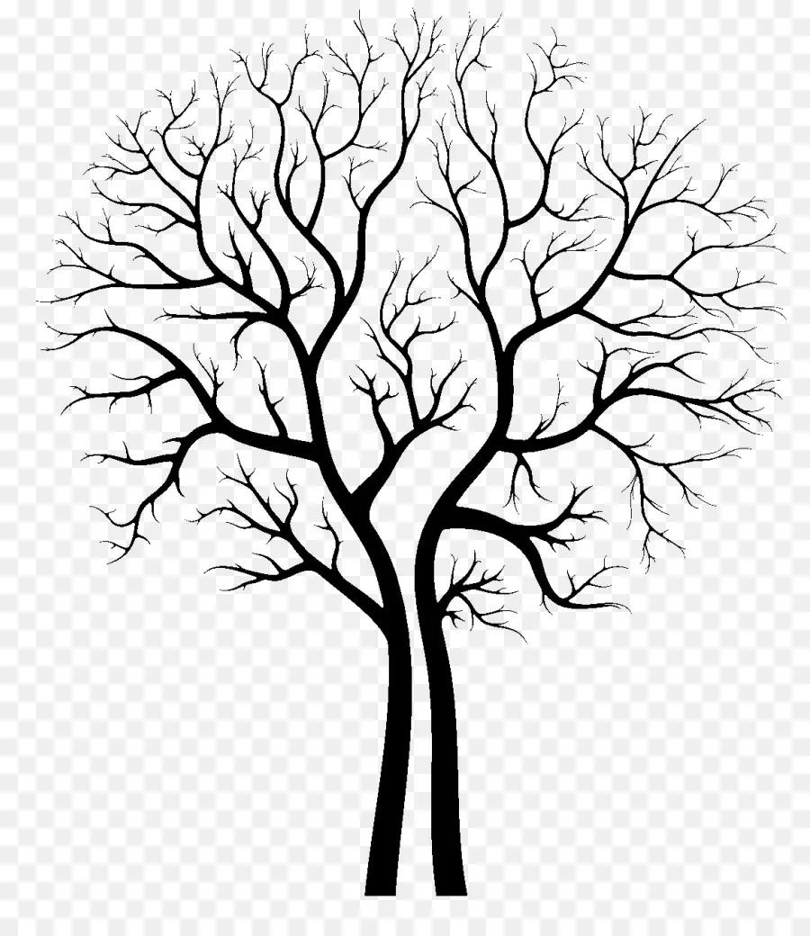 árbol，Descargar PNG