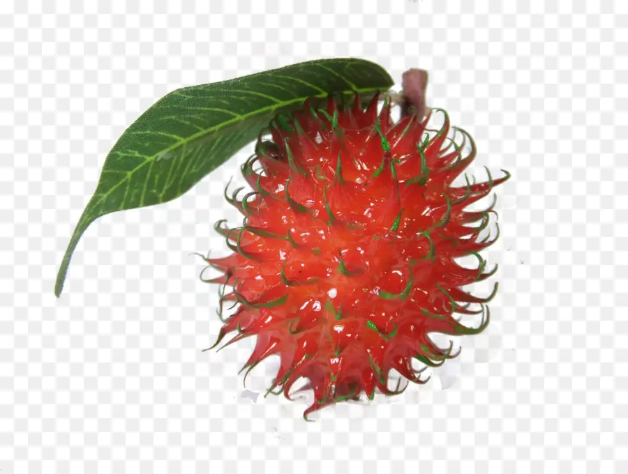 El Rambutan，La Cocina Tailandesa PNG