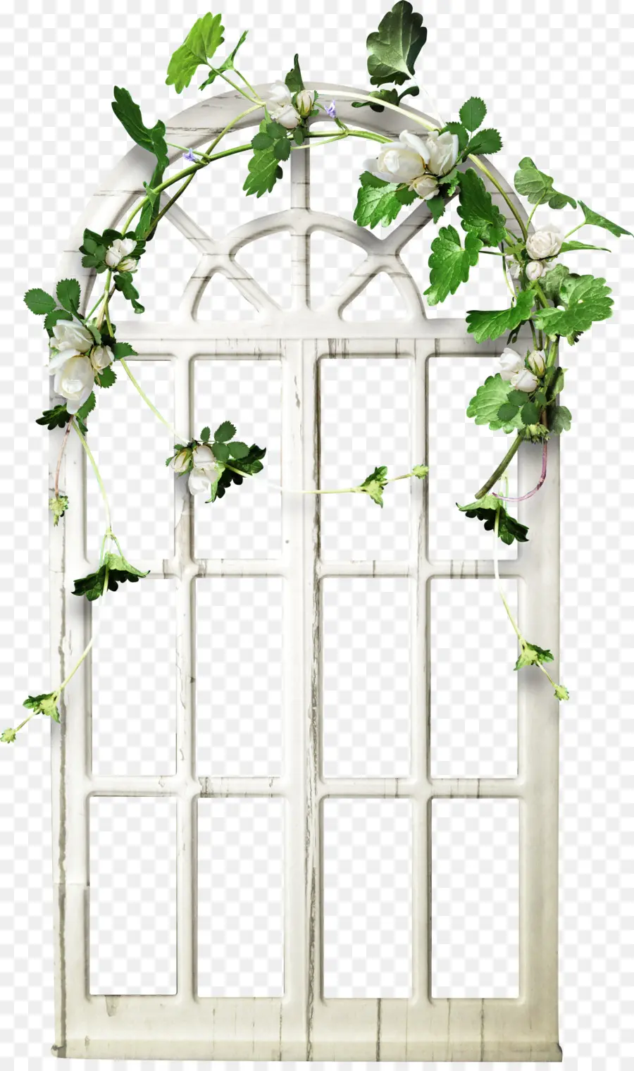 Ventana Con Enredaderas，Vides PNG