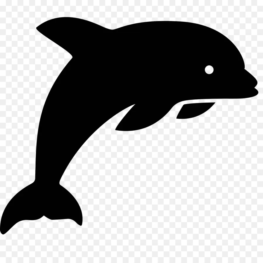 Iconos De Equipo，Dolphin PNG