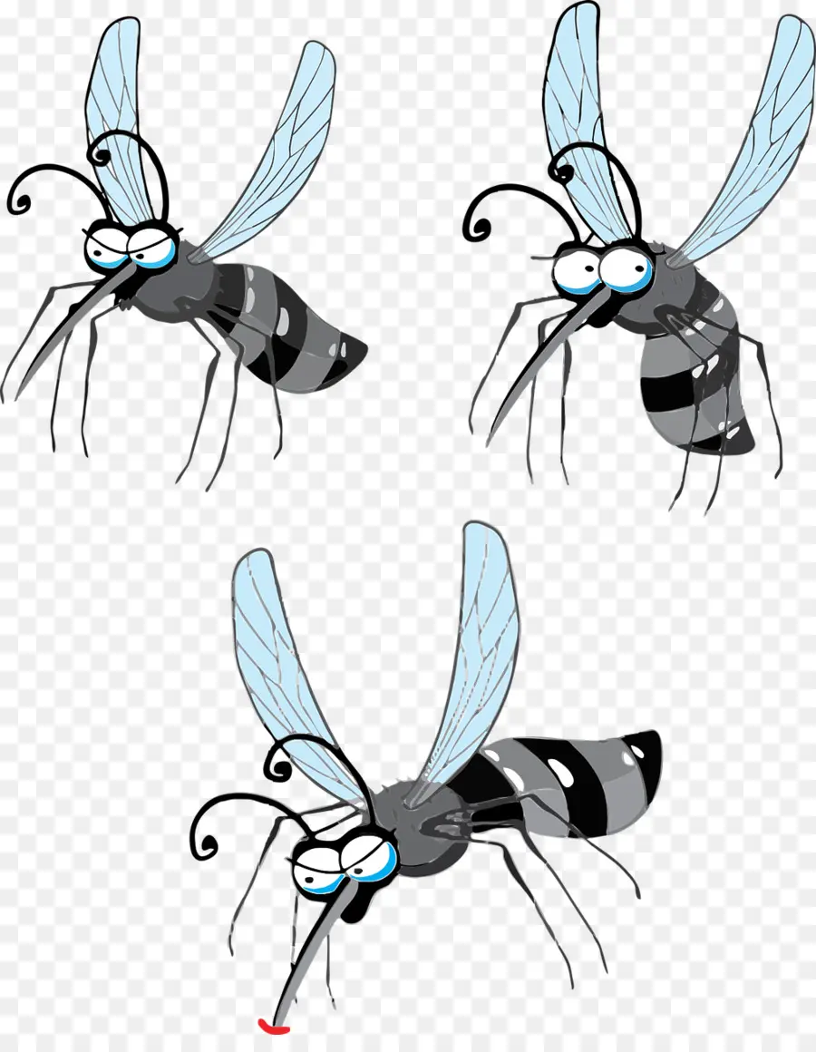Mosquito，Virus Del Zika PNG