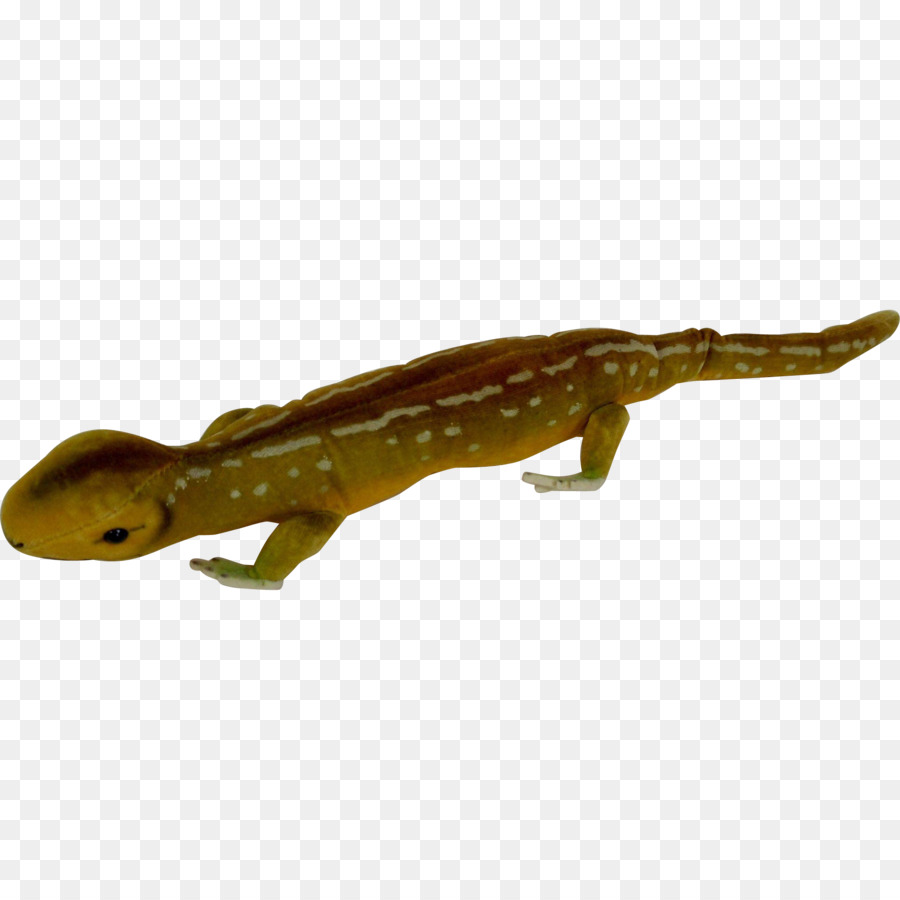 Tritón，Anfibios PNG