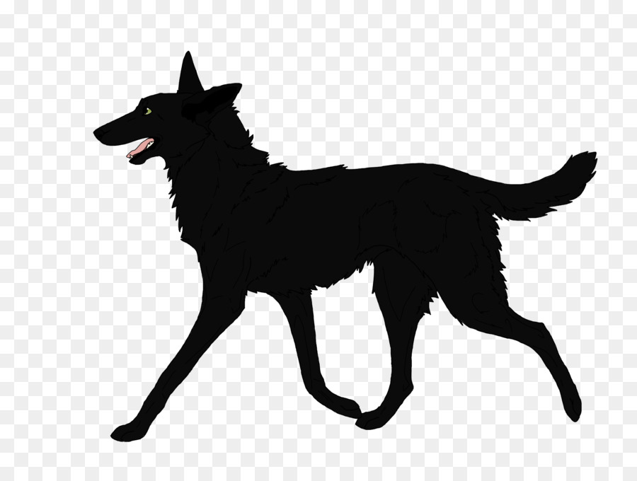 Perro De Oso Kareliano，Schipperke PNG