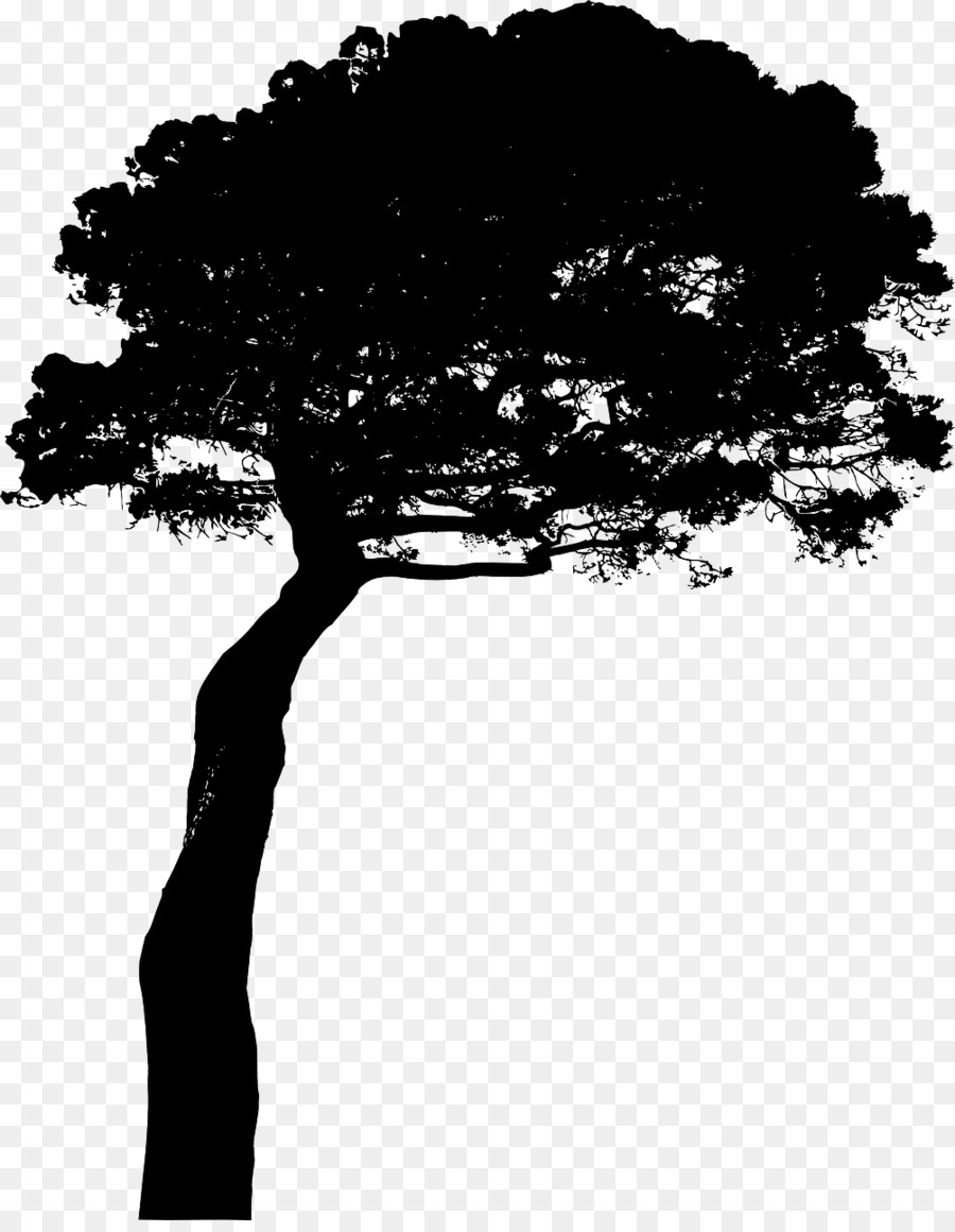 Silueta De Arbol，Planta PNG