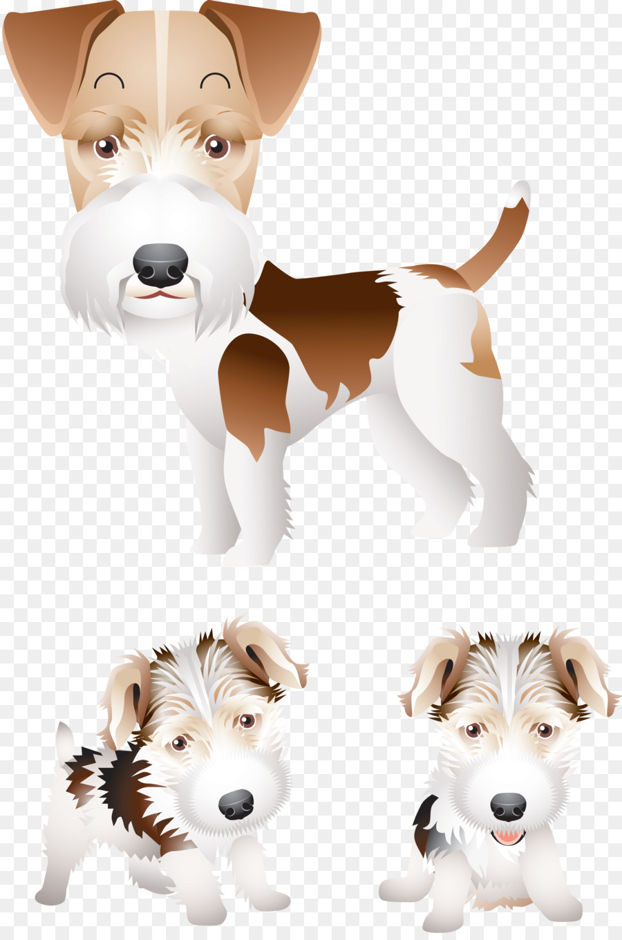 Smooth Fox Terrier，Wire Fox Terrier De Pelo PNG