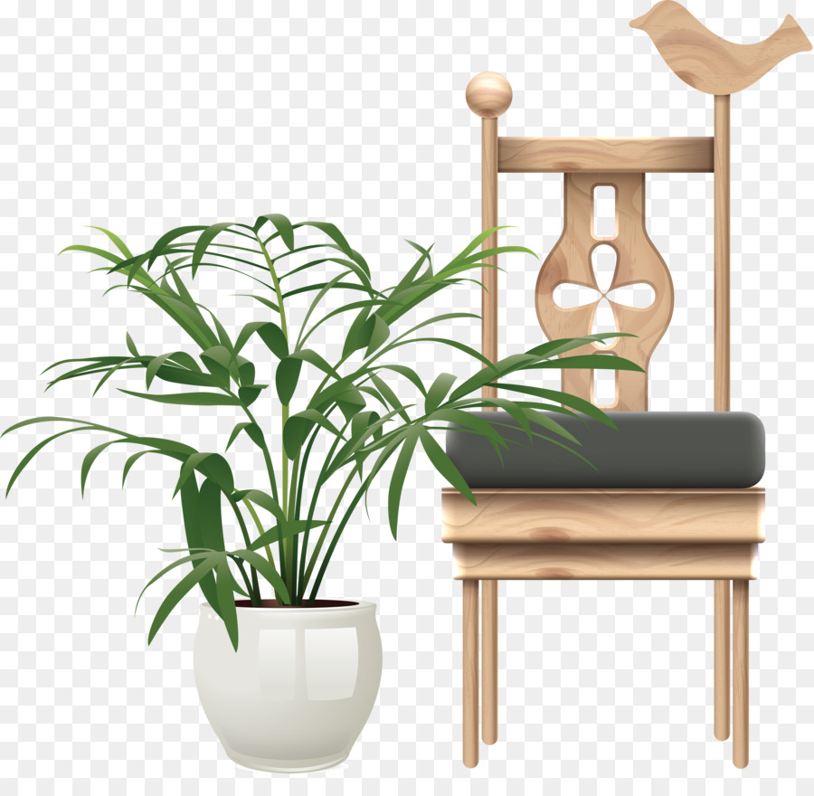 Maceta，Planta PNG