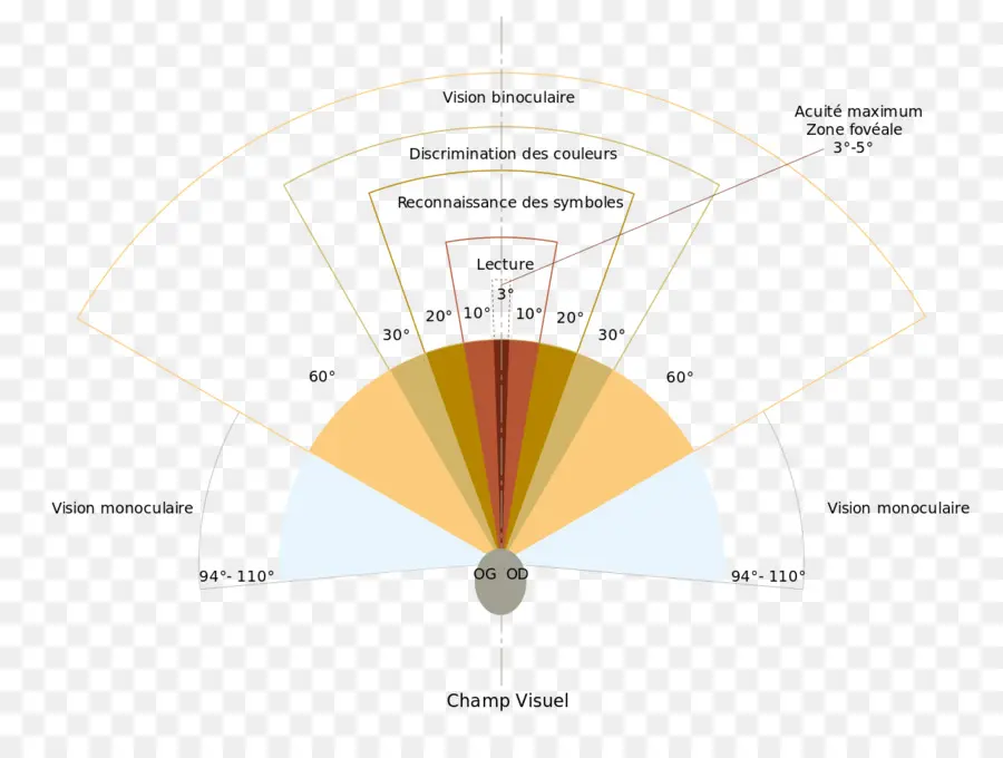 Tabla De Campo Visual，Visión PNG