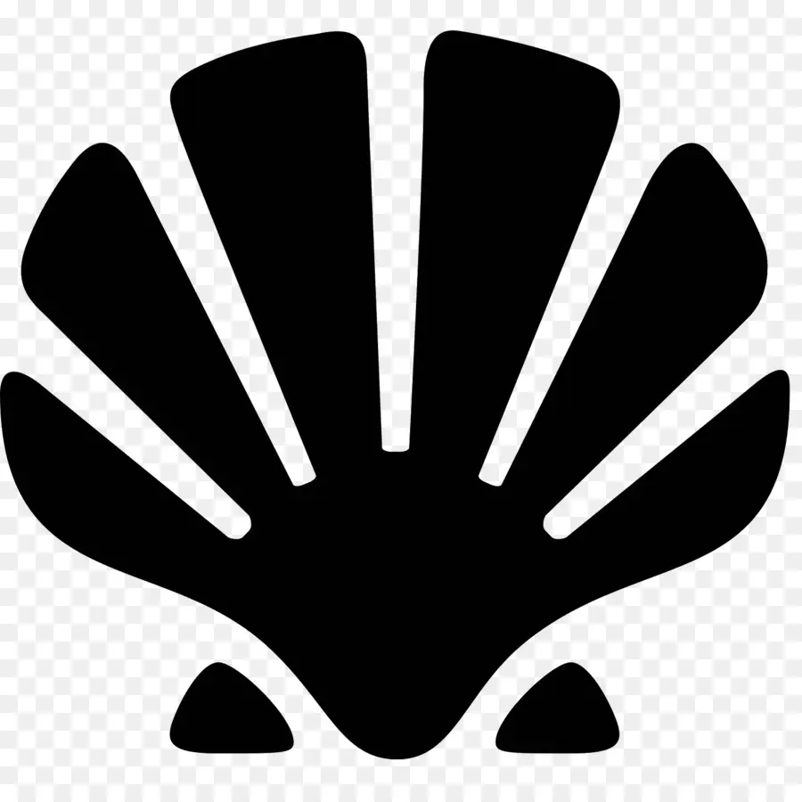 Icono De Concha，Mar PNG