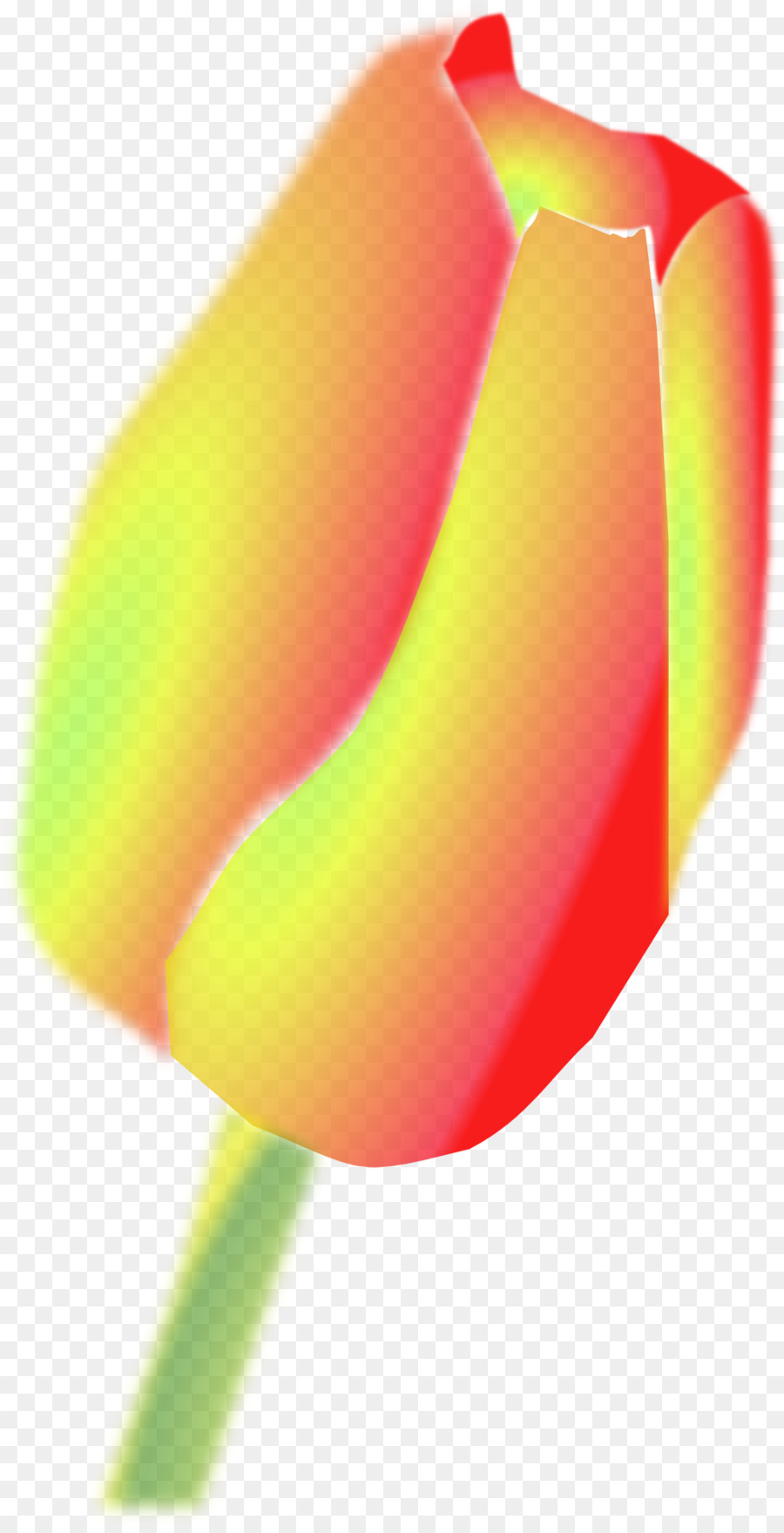 Tulip，Flor PNG