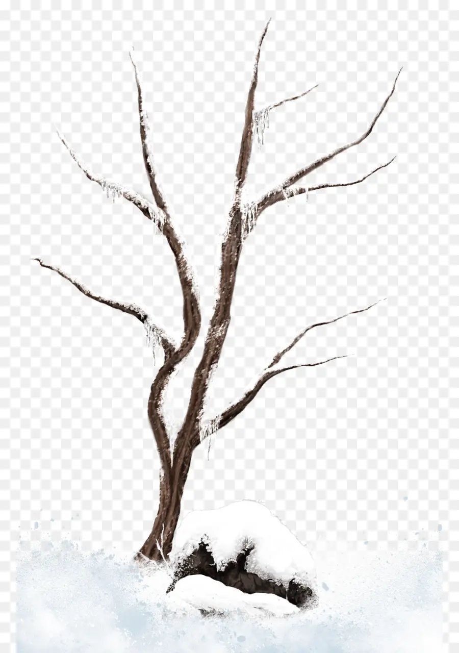 Rama，árbol PNG