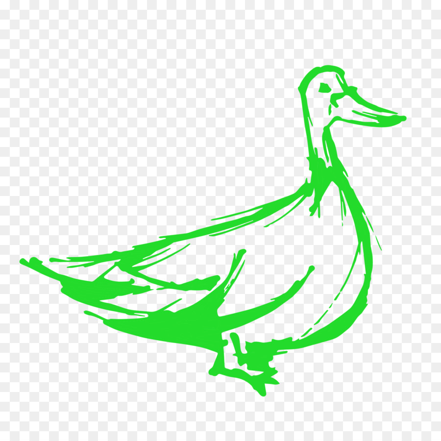 Pato，Ganso PNG