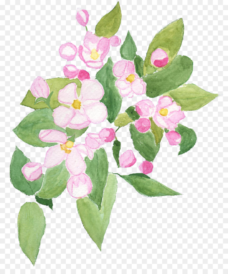 Flores Rosadas，Florecer PNG