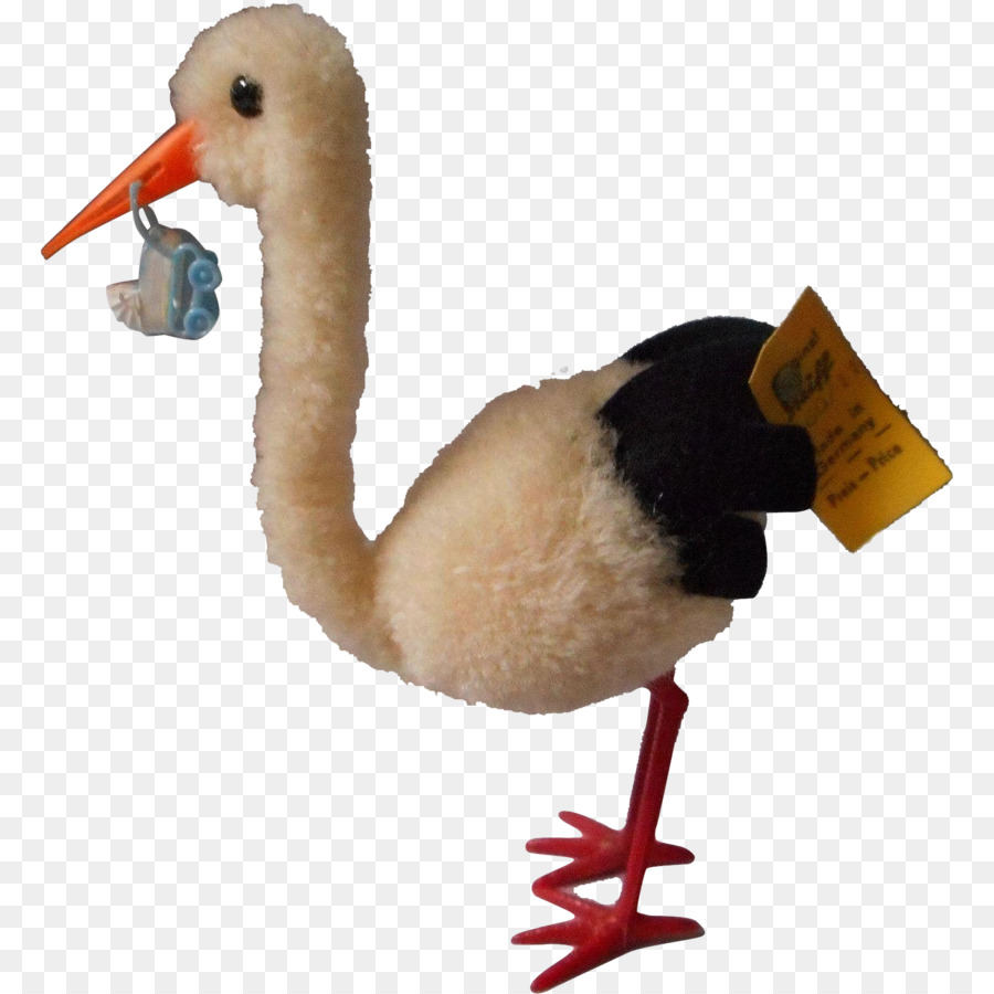 Pájaro，Ave Acuática PNG