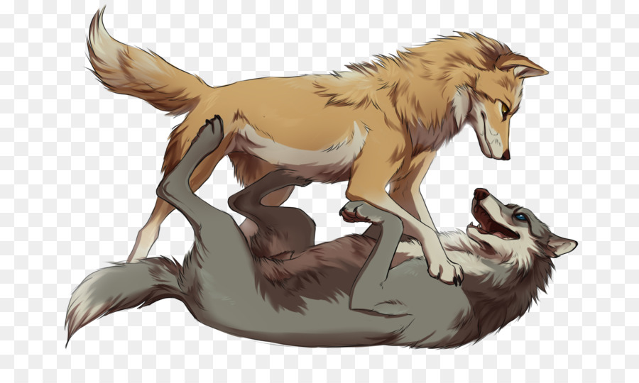 Lobo Gris，Dibujo PNG