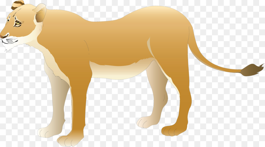 Leona，Felino De Gran Tamaño PNG