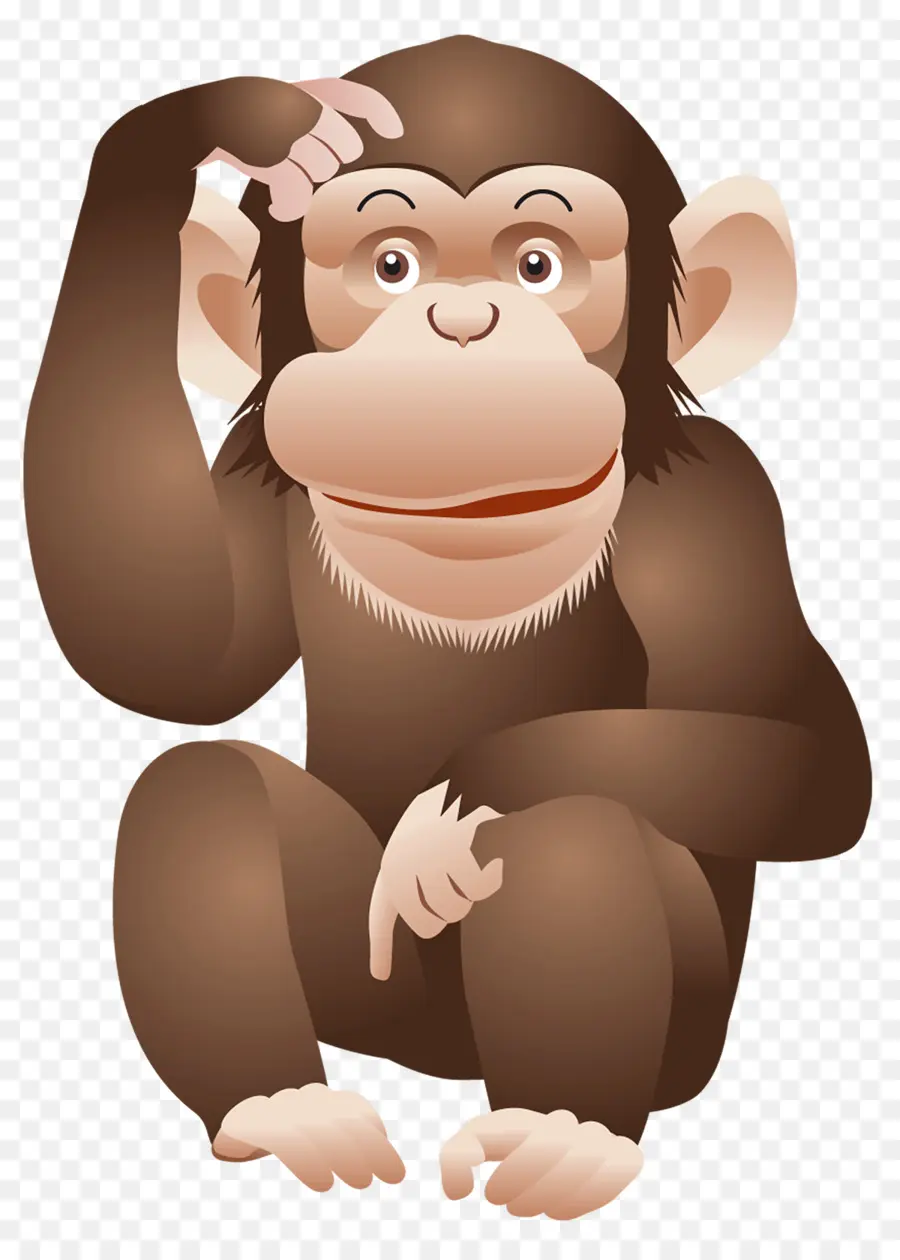 Macaco，Ape PNG