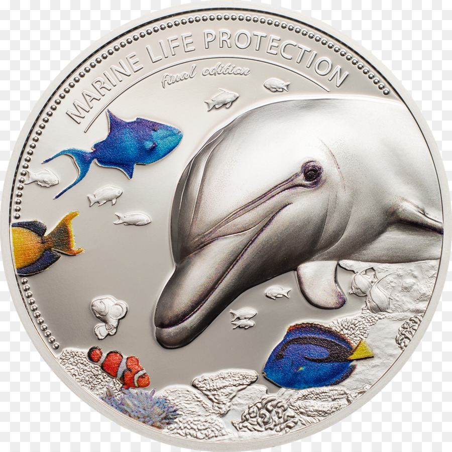 Moneda，Plata PNG