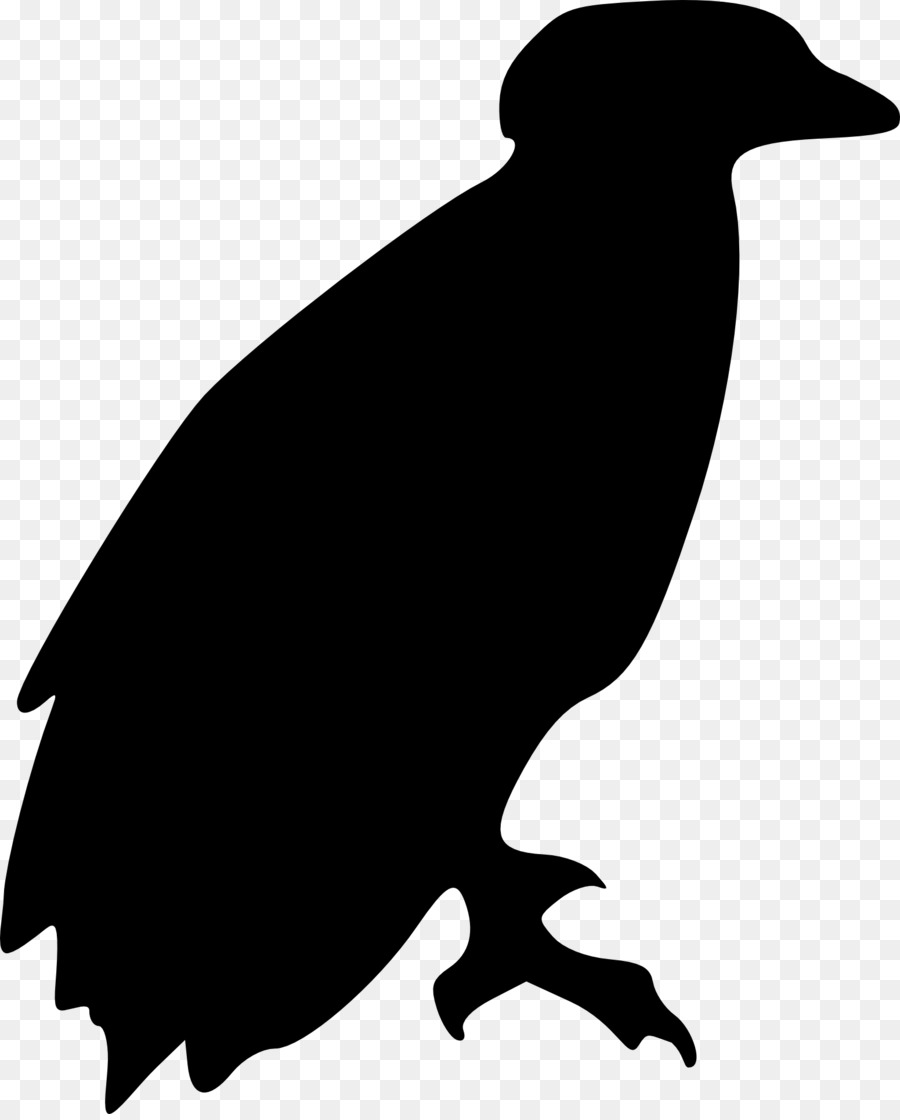 Pájaro，águila PNG