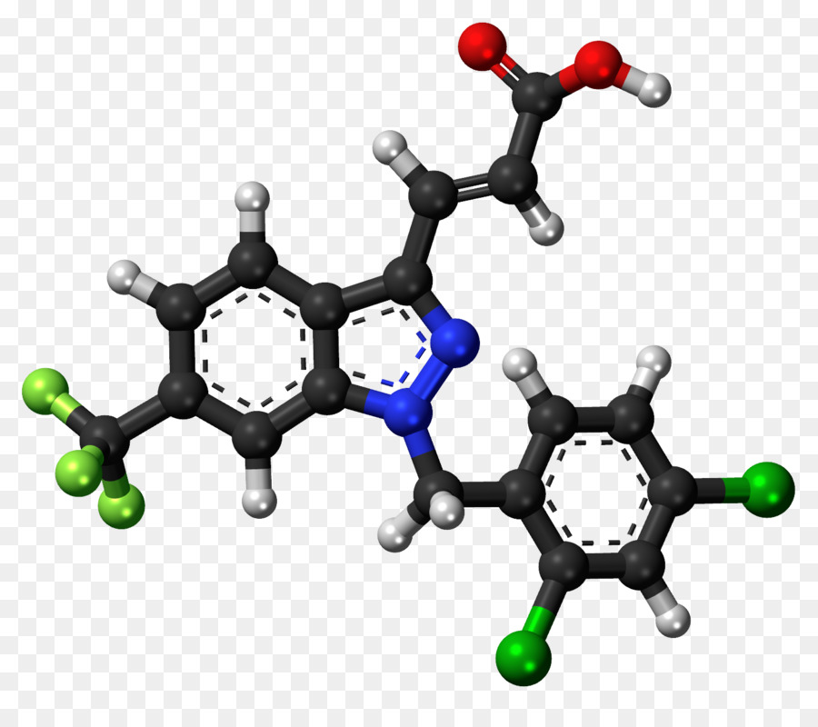 La Serotonina，Los Receptores 5ht PNG