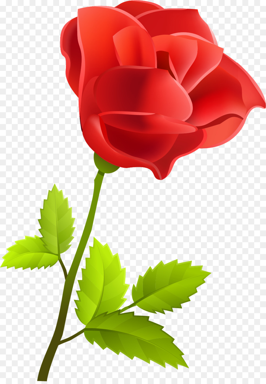 Rosa，Rojo PNG