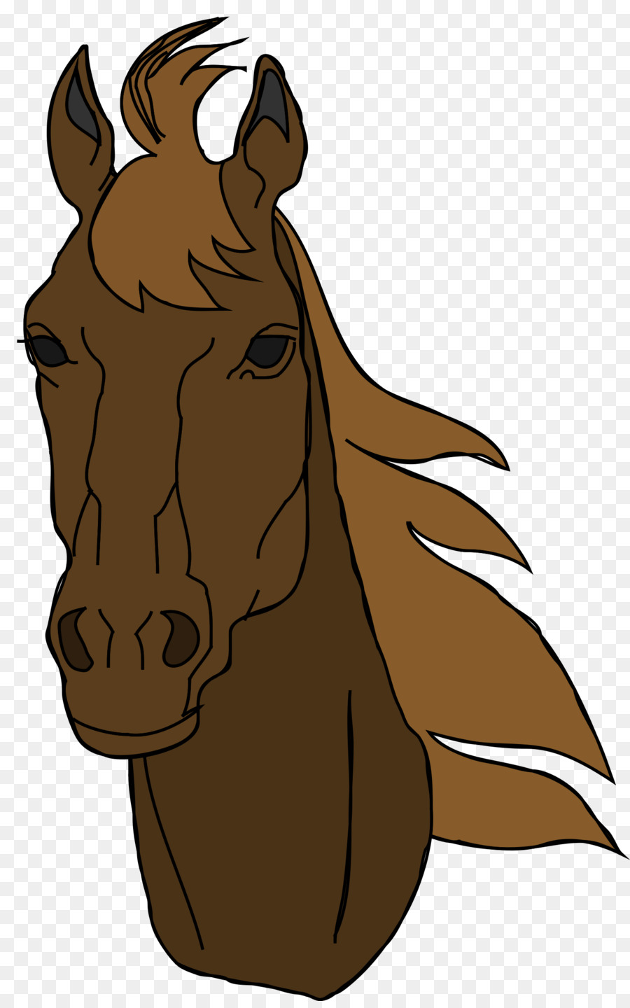 Burro，Cabeza PNG