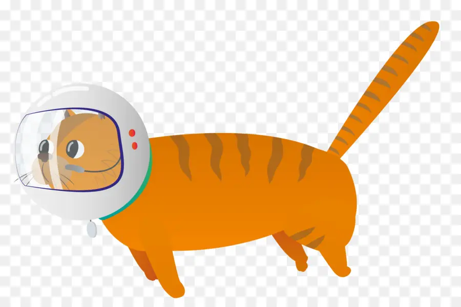 Casco De Gato En El Espacio，Naranja PNG