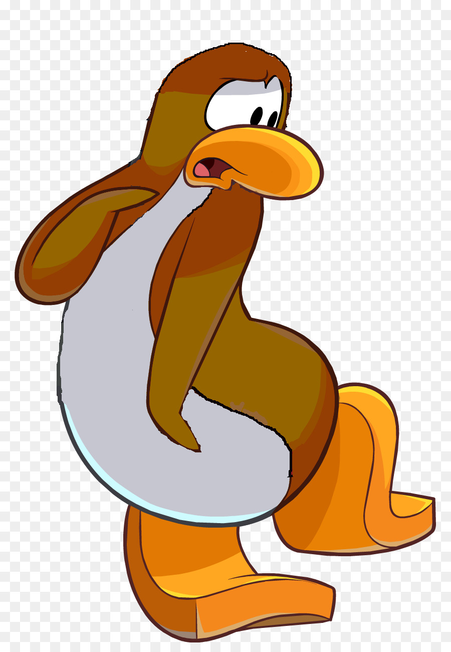 Pingüino，Pájaro PNG