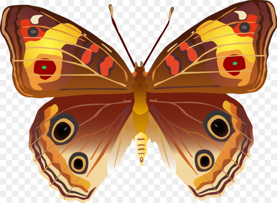 Mariposa，Insecto PNG