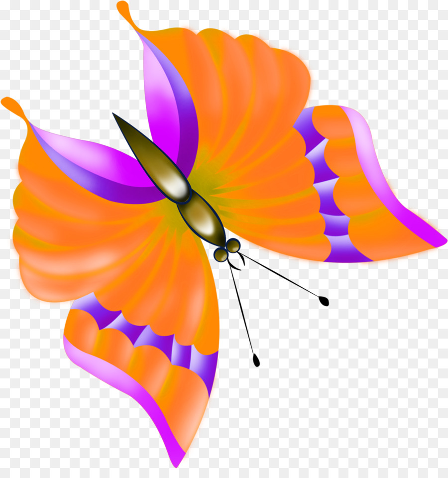 Mariposa，Dibujo PNG