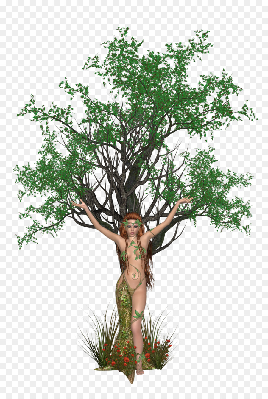 árbol，La Dríada PNG