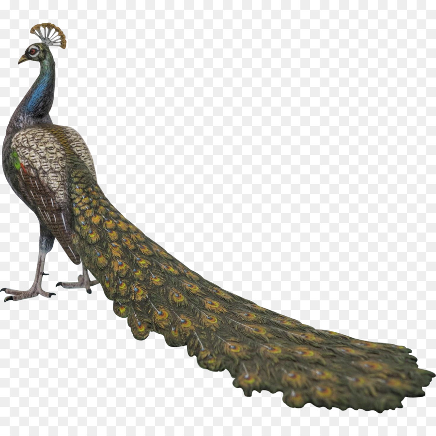 Pájaro，Pluma PNG