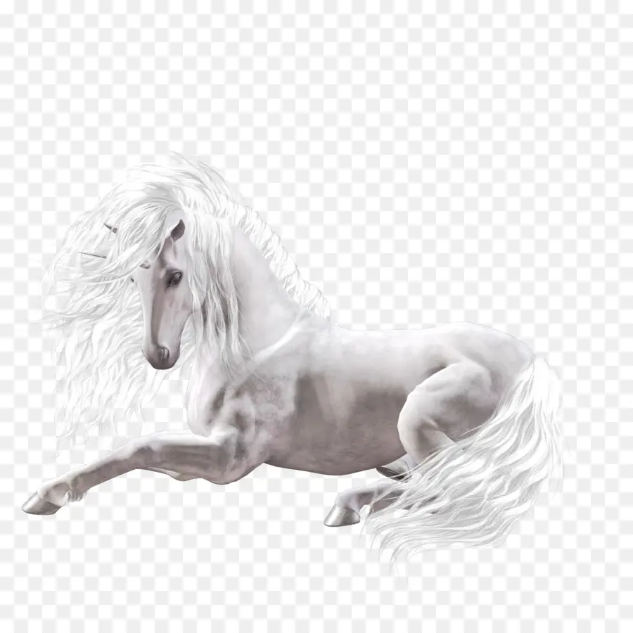 Unicornio，Caballo PNG