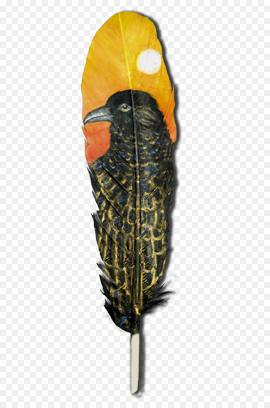 Pluma，Ravenna PNG