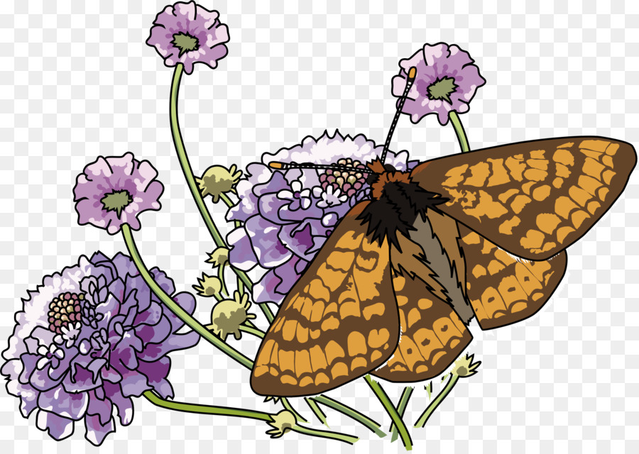 Mariposa，Iconos De Equipo PNG