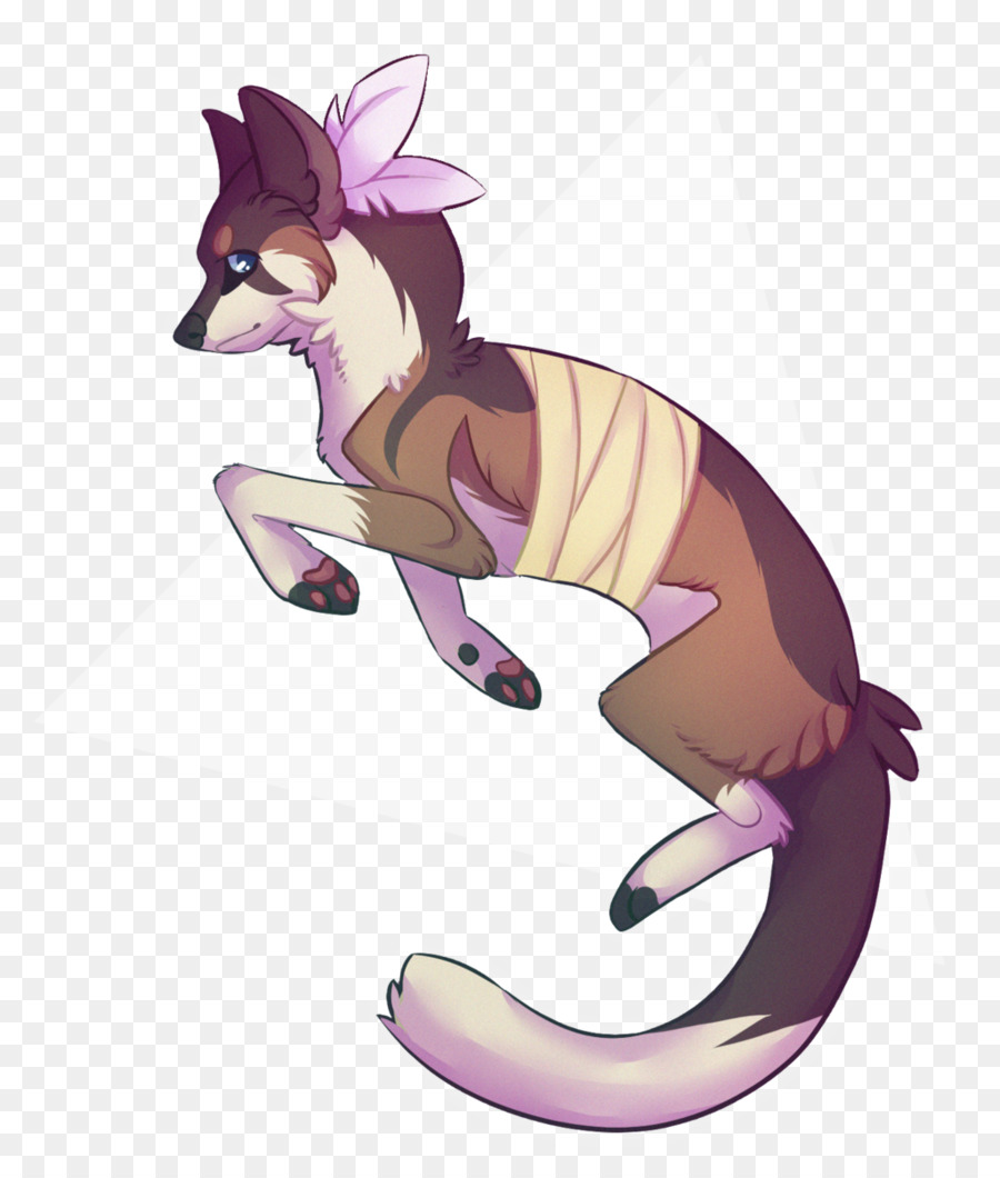 Gato，Caballo PNG