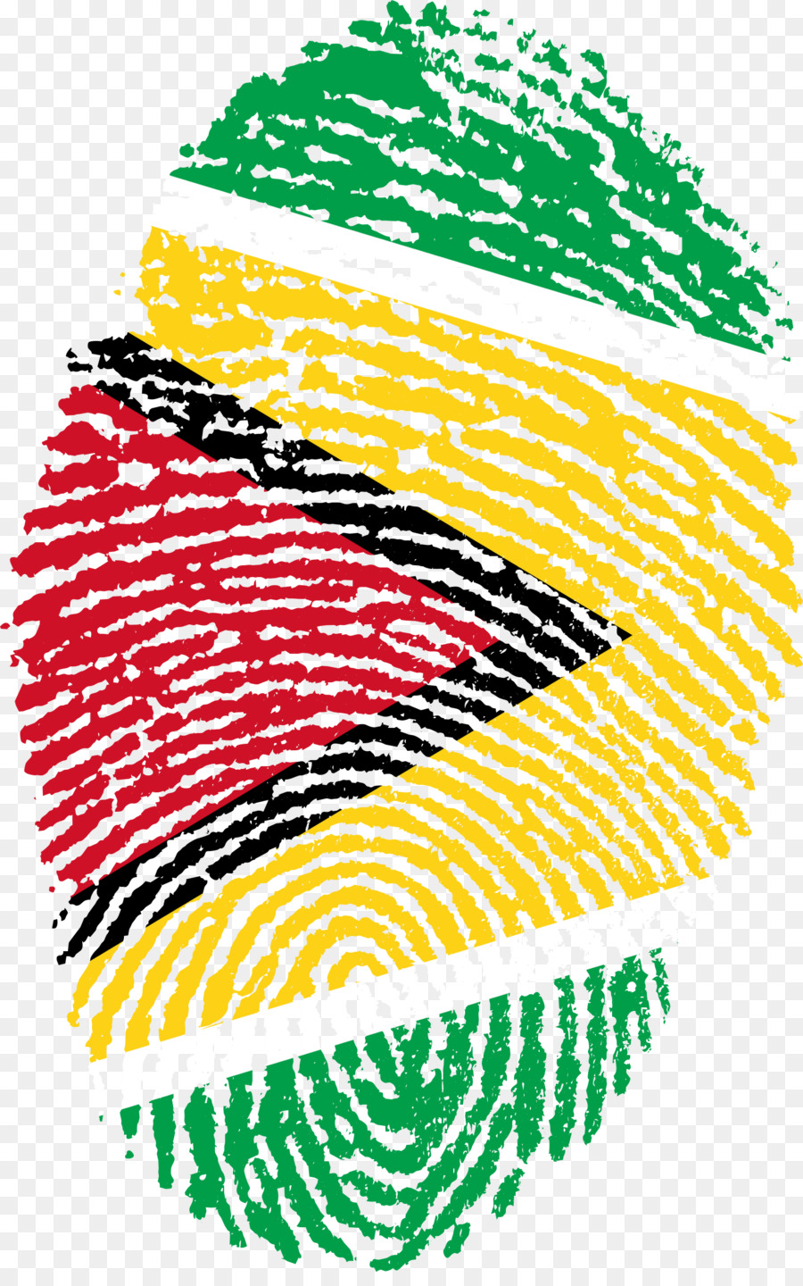 Bandera De Guyana，Guyana PNG