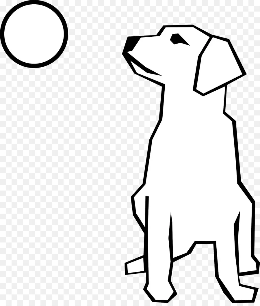 Golden Retriever，Dibujo PNG