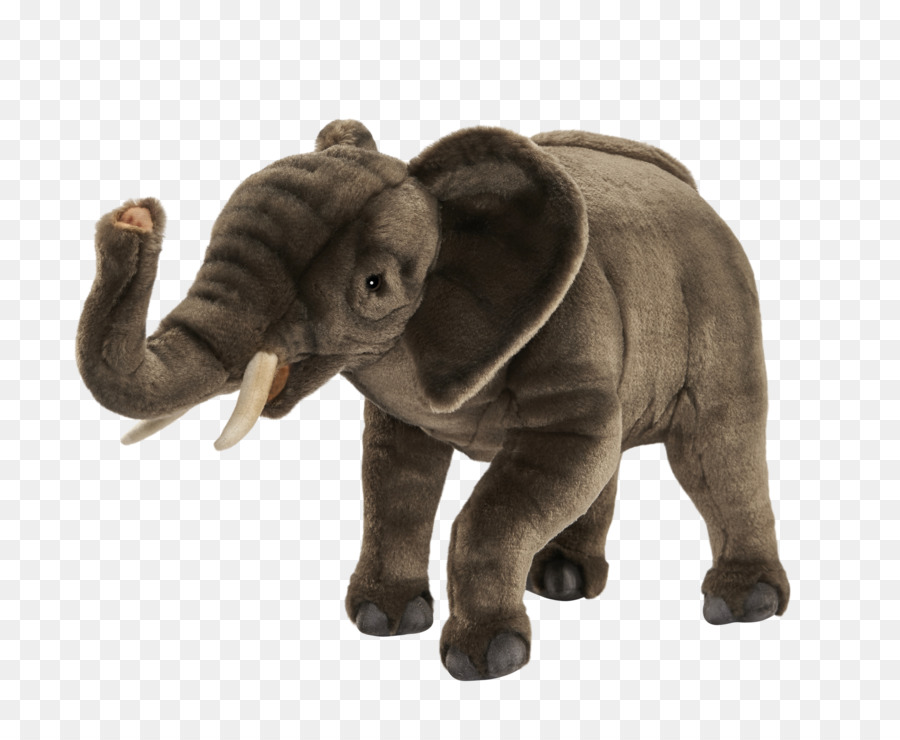 Elefante De Dibujos Animados，Colmillos PNG