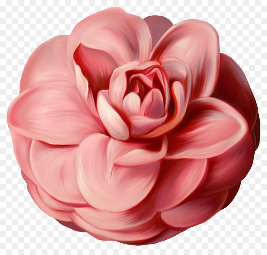 Flor Rosa，Florecer PNG