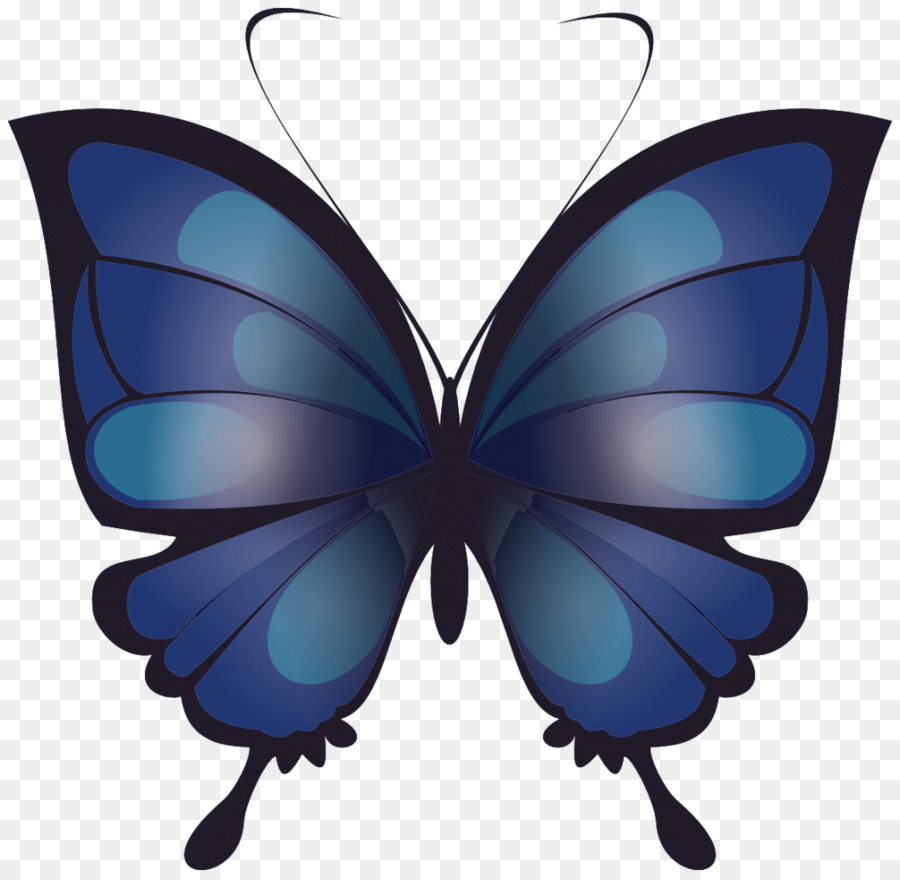 Mariposa，Dibujo PNG