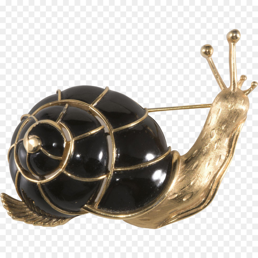 Caracol，Gasterópodos PNG