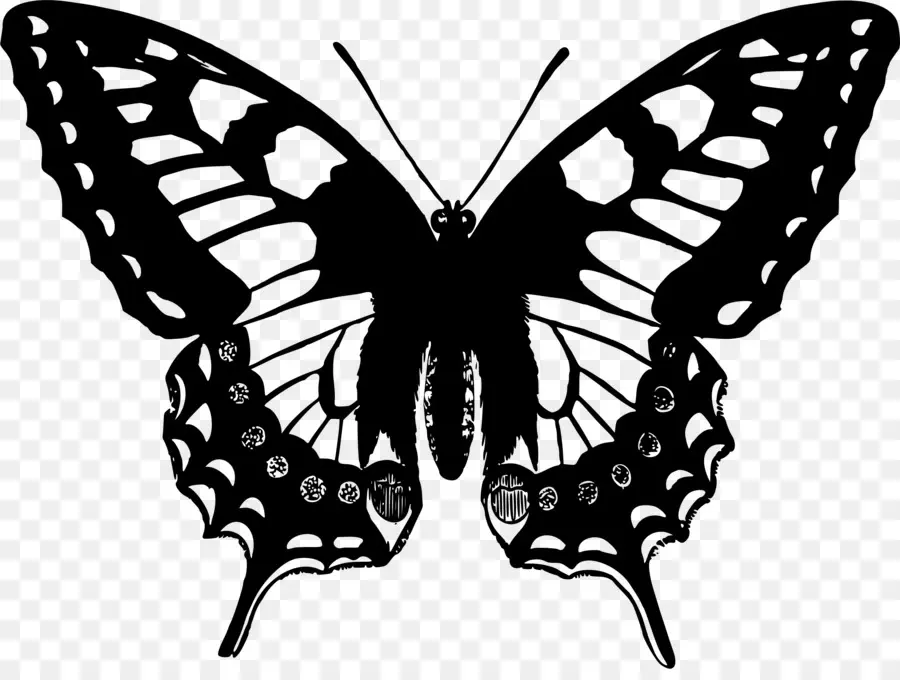 Mariposa，Papilio Machaon PNG