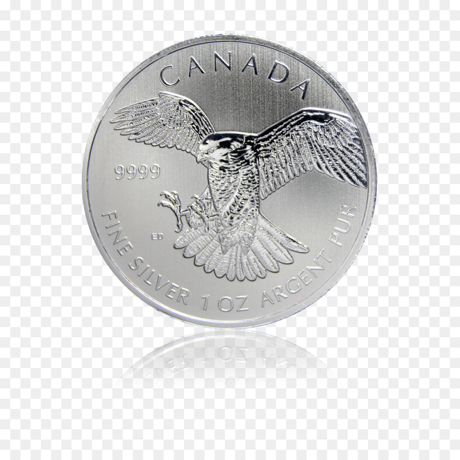 Moneda，Plata PNG