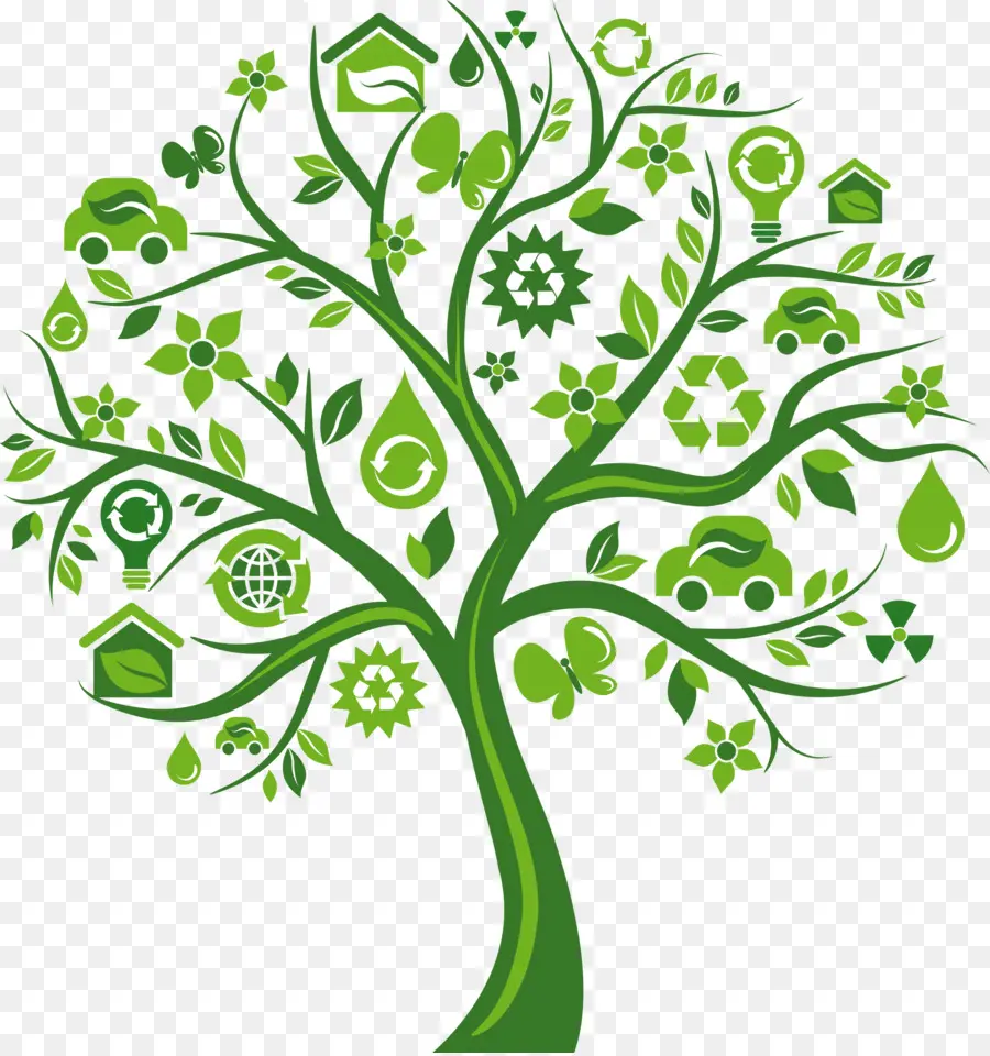 árbol Verde，Ecológico PNG