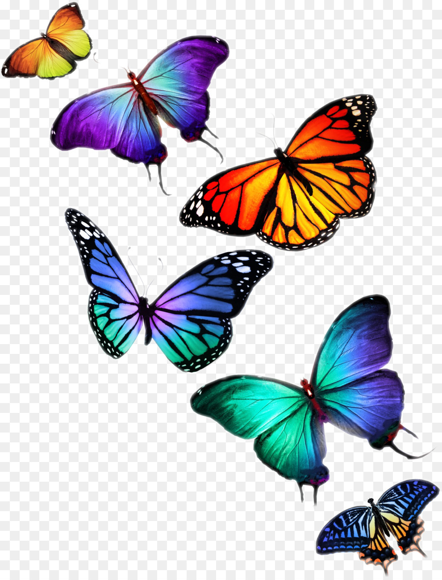 Paisaje Brillante Mariposas Voladoras PNG ,dibujos Fotografía, Especimen,  Ala PNG Imagen para Descarga Gratuita