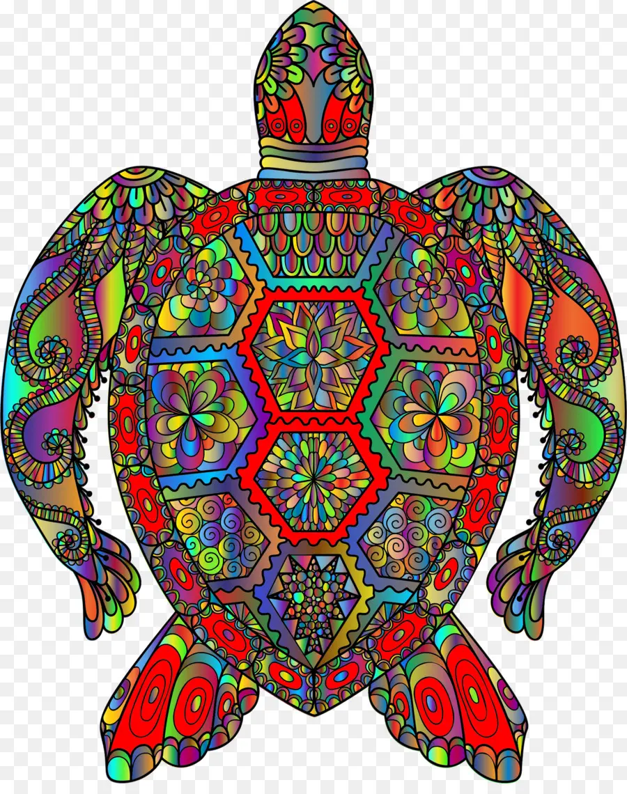 Tortuga Colorida，Tortuga PNG