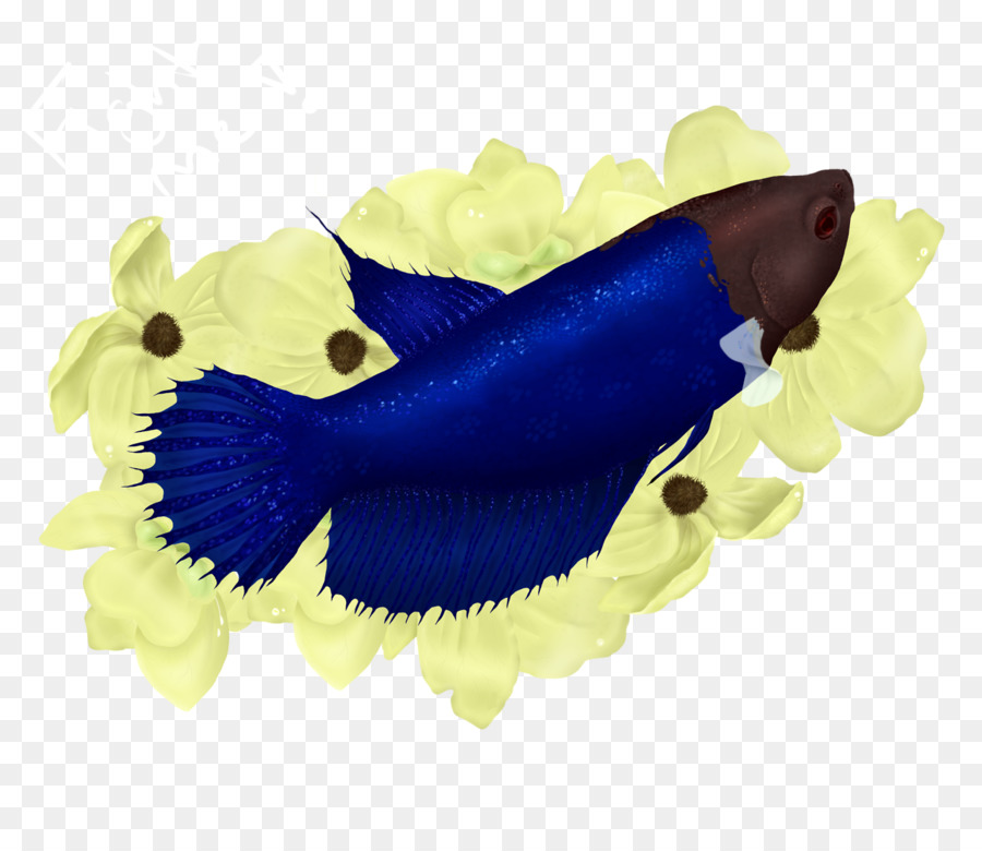 De Mamíferos Marinos，Biología Marina PNG