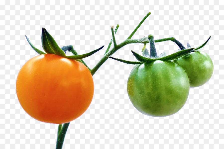 El Jugo De Tomate，Jugo PNG